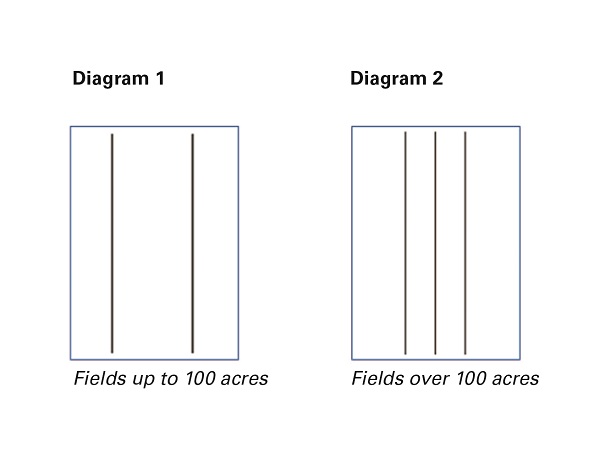 Inspection Strips