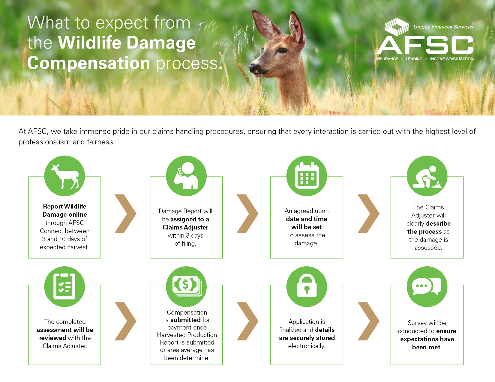 An infographic outlining the Wildlife Damage Compensation process