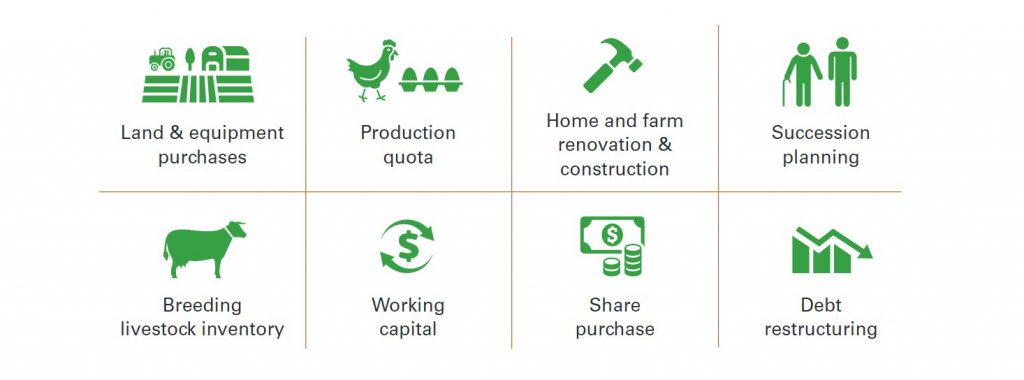 Producing Financing Developing Producer Loan - Agriculture Financial Services Corporation
