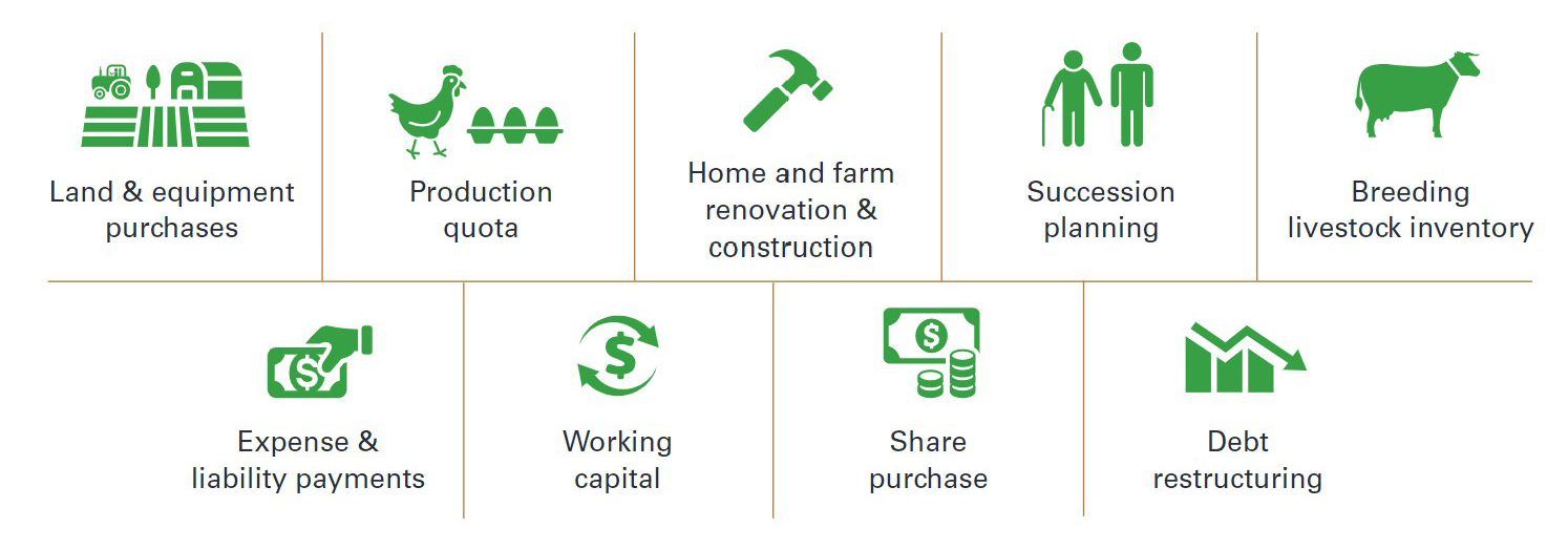 Farm loans infographic