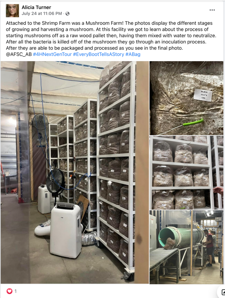 A Facebook post about the stop at a mushroom farm during the AFSC 4-H Next Gen Tour.