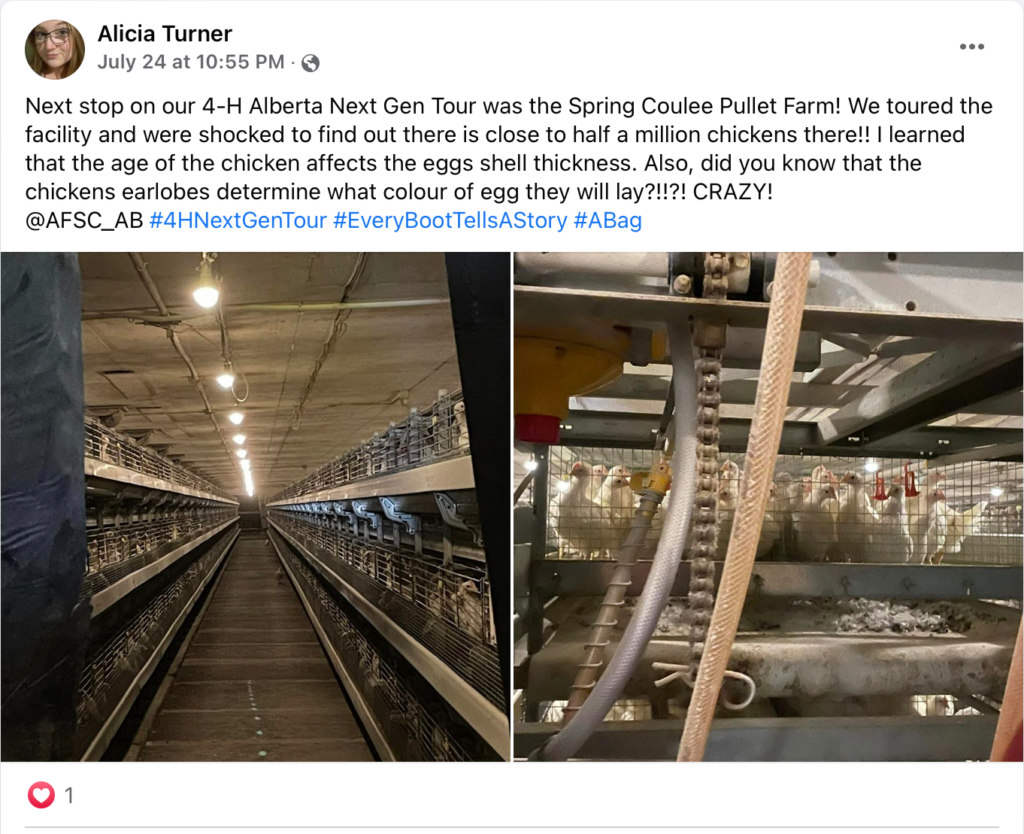 A Facebook post about the stop at Spring Coulee Pullet Farm during the AFSC 4-H Next Gen Tour.