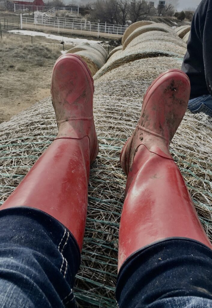 A pair of red chore boots.