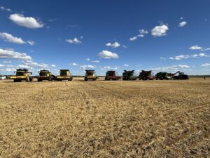 A picture of a row of combines in a field near Edberg