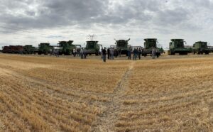 Eight combines lined up ready to harvest the Newell Foodgrains crop.