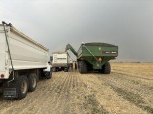 A green grain cart fills a semi trailer. 