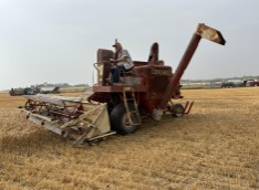 A person sits atop a vintage self-propelled combine.