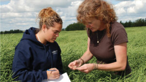 Two women stand in a canola crop and examine a pod. One woman is taking notes