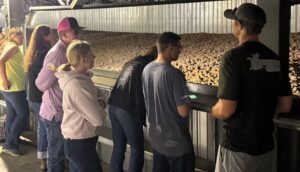 Seven people look at a stockpile of potatoes.