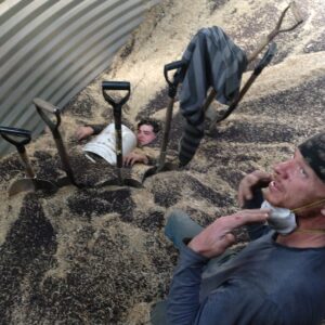 a man entrapped in canola. He is surrounded by a ring of grain shovels, which are keeping the canola from covering him. He was rescued shortly after.