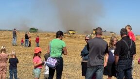 People stand on the edge of a field being harvested