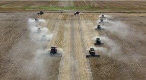 An aerial photograph of 11 combines harvesting a crop.